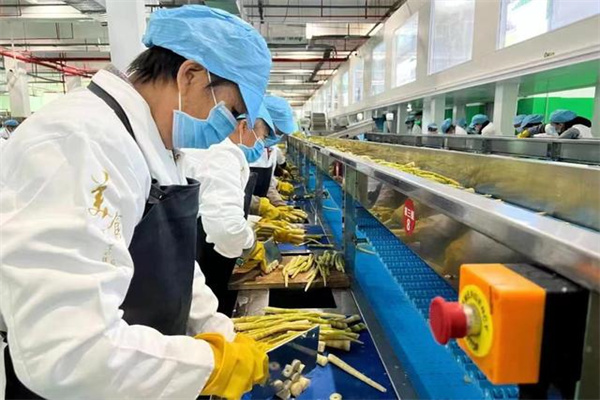 大证券公司和小证券公司的区别