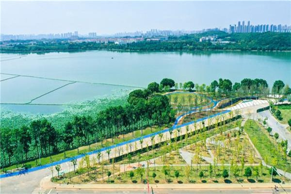 深耕养老金融、赋能养老产业——中国银行在进博会成功举办首届外资养老论坛