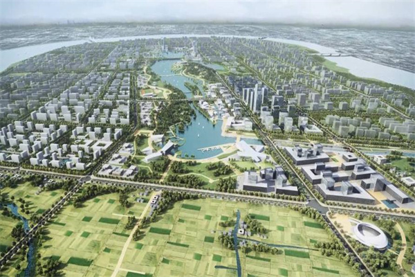 2025年5月5日全国主要批发市场黄桃价格行情